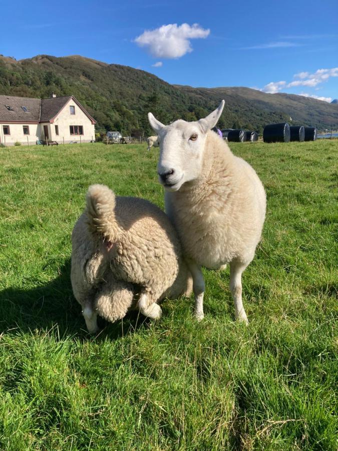 Highland Croft B&B Onich Esterno foto